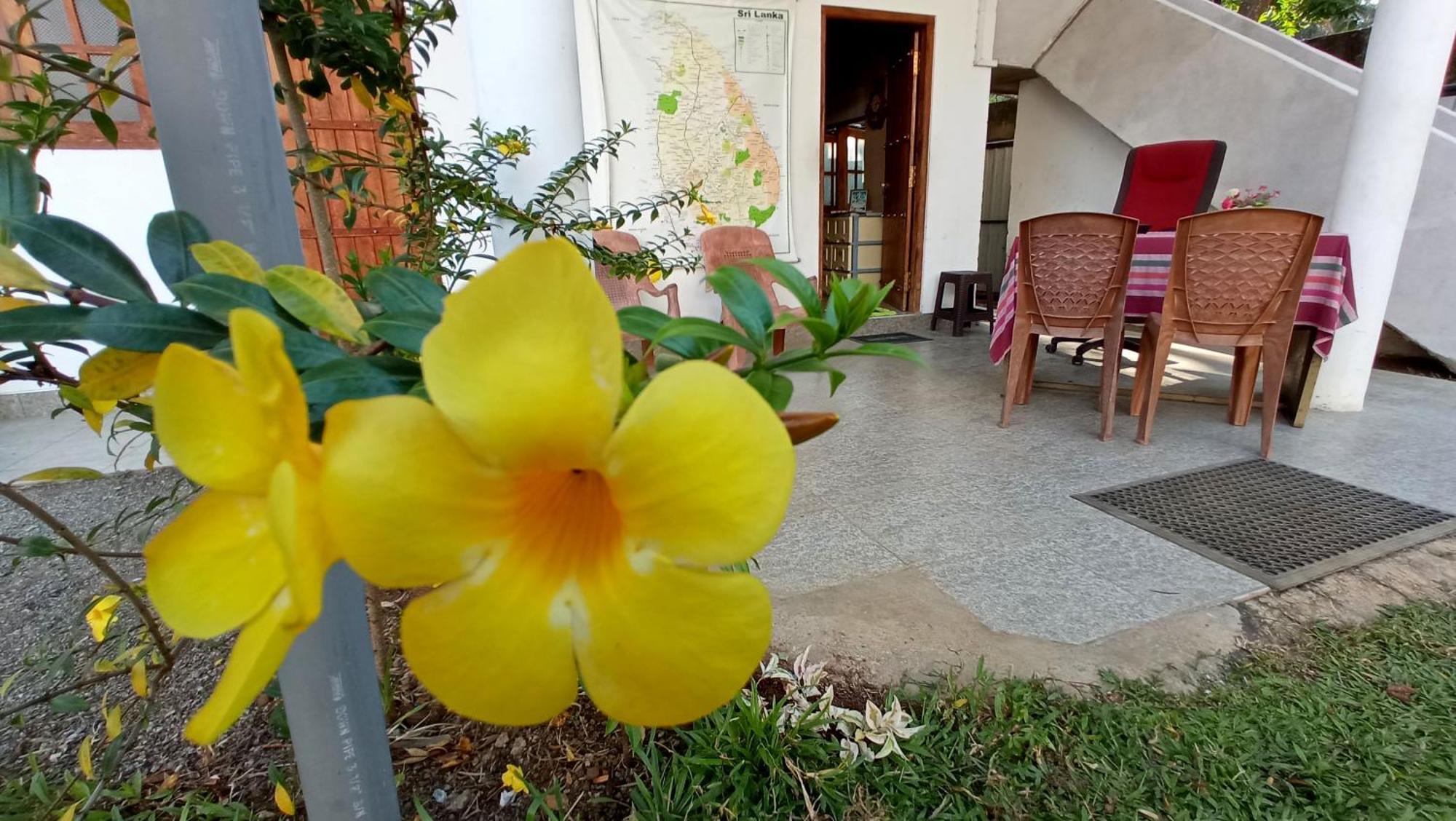 Family Resort Udawalawe Esterno foto